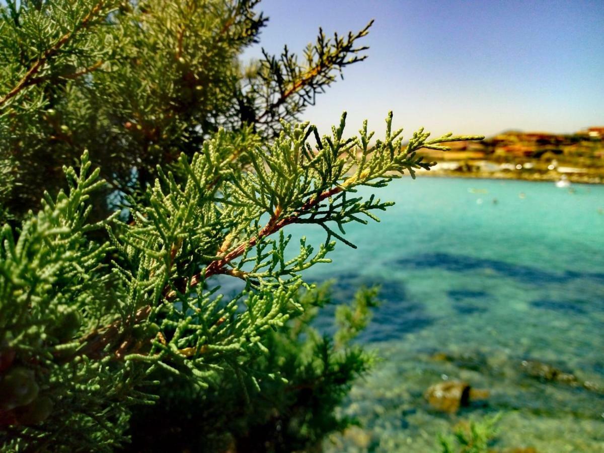 الشقق الفندقية غولفو أرانتْشيفي  Le Stanze Del Mare المظهر الخارجي الصورة